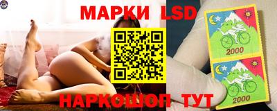 прущие грибы Нарткала