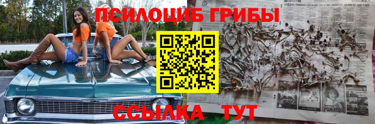 Галлюциногенные грибы Cubensis  продажа наркотиков  Туапсе  Вход с VPN  Галлюциногенные грибы MAGIC MUSHROOMS 